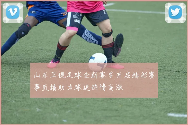 山东卫视足球全新赛季开启精彩赛事直播助力球迷热情高涨